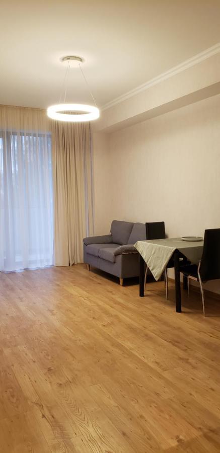 Apartment - 200 M Near Central Park ティビリシ エクステリア 写真